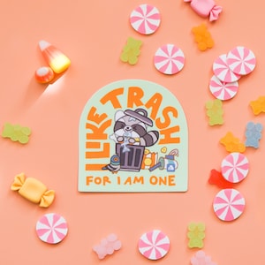 Vinyl Sticker Friendly Raccoon - I Like Trash