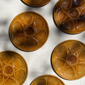 May include: A collection of five round, glazed ceramic oyster plates in a warm amber-brown tone. Each plate features six molded, shell-shaped indentations arranged in a circular pattern around a central, smaller shell-shaped well for serving.