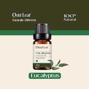 以下が含まれることがあります： 黒いリブ付きキャップが付いたOdd Leafユーカリエッセンシャルオイルの琥珀色のガラス瓶。ラベルにはOdd Leaf、Eucalyptus Essential Oil、Natural Ingredients、Therapeutic Grade、100% Naturalの文字が記載されています。底には小さなユーカリの小枝が添えられています。