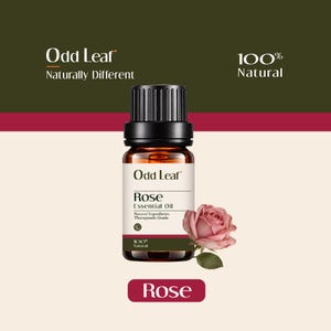 May include: A small amber glass bottle of Odd Leaf Rose Essential Oil with a black ribbed cap. The white label features the text Odd Leaf, Rose, Essential Oil, Natural Ingredients, Therapeutic Grade, and 100% Natural. A pink rose sits beside it.