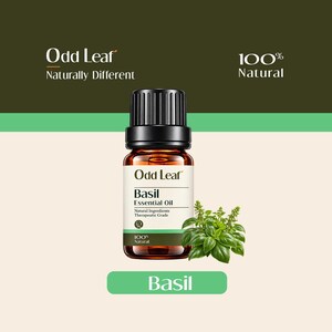 Può includere: Un piccolo flacone in vetro ambrato di olio essenziale di basilico Odd Leaf con tappo nero. L'etichetta bianca riporta il testo Odd Leaf, Basil Essential Oil, Natural Ingredients, Therapeutic Grade e 100% Natural. È raffigurata una pianta di basilico.