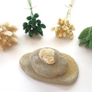May include: Four small bundles of dried grass in cream, dark green, light yellow, and sage green colors, each tied with twine. Below the bundles are three smooth, flat, gray and tan river stones stacked in a pyramid formation on a white surface.