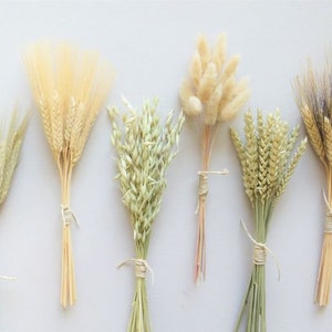 Dried Grass Bunches, Dried Flowers, Dried Flower Sampler Set, Flowers for Bud Vase, DIY Dried Flowers, Dried Wheat, Fall Decor, Bunny Tails