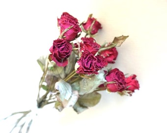 Burgundy Dried Roses: DIY Floral Arrangement Craft Supply, Valentines Day Flowers