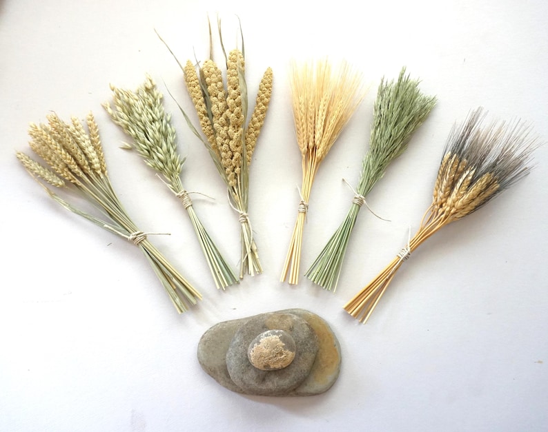 May include: Six small bundles of dried grains and grasses in various shades of beige, light green, and golden yellow, each tied with thin string. Below the bundles are three smooth, rounded gray and tan stones stacked in a small pile.