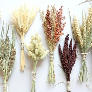Dried Grass Bundle: Natural Fall Table Decor, DIY Flowers
