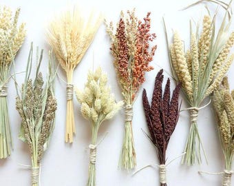 May include: Seven small bundles of dried grasses and grains arranged in a row. The collection includes wheat stalks, fluffy cream-colored bunny tails, reddish-brown millet, and green seed heads, each tied securely with thin twine at the base.