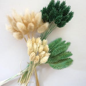 May include: A collection of dried grasses featuring four distinct bundles tied together. The arrangement includes two clusters of fluffy, cream-colored bunny tails and two clusters of dyed grasses in dark forest green and light sage green hues.