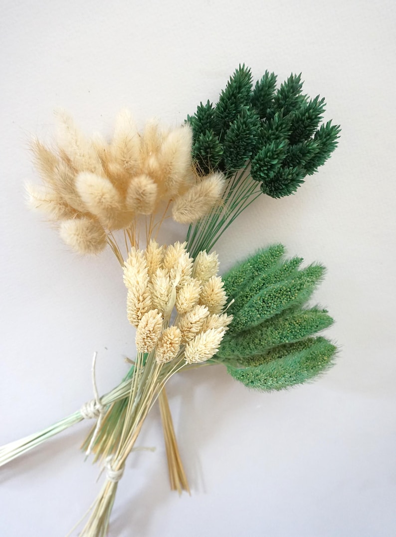 May include: A collection of dried grasses featuring four distinct bundles tied together. The arrangement includes two clusters of fluffy, cream-colored bunny tails and two clusters of dyed grasses in dark forest green and light sage green hues.