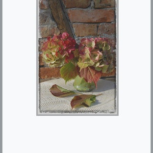 Red Yellow Hydrangea Flower Photo Card Fine Art Floral Wall Art 4 X 6 image 2