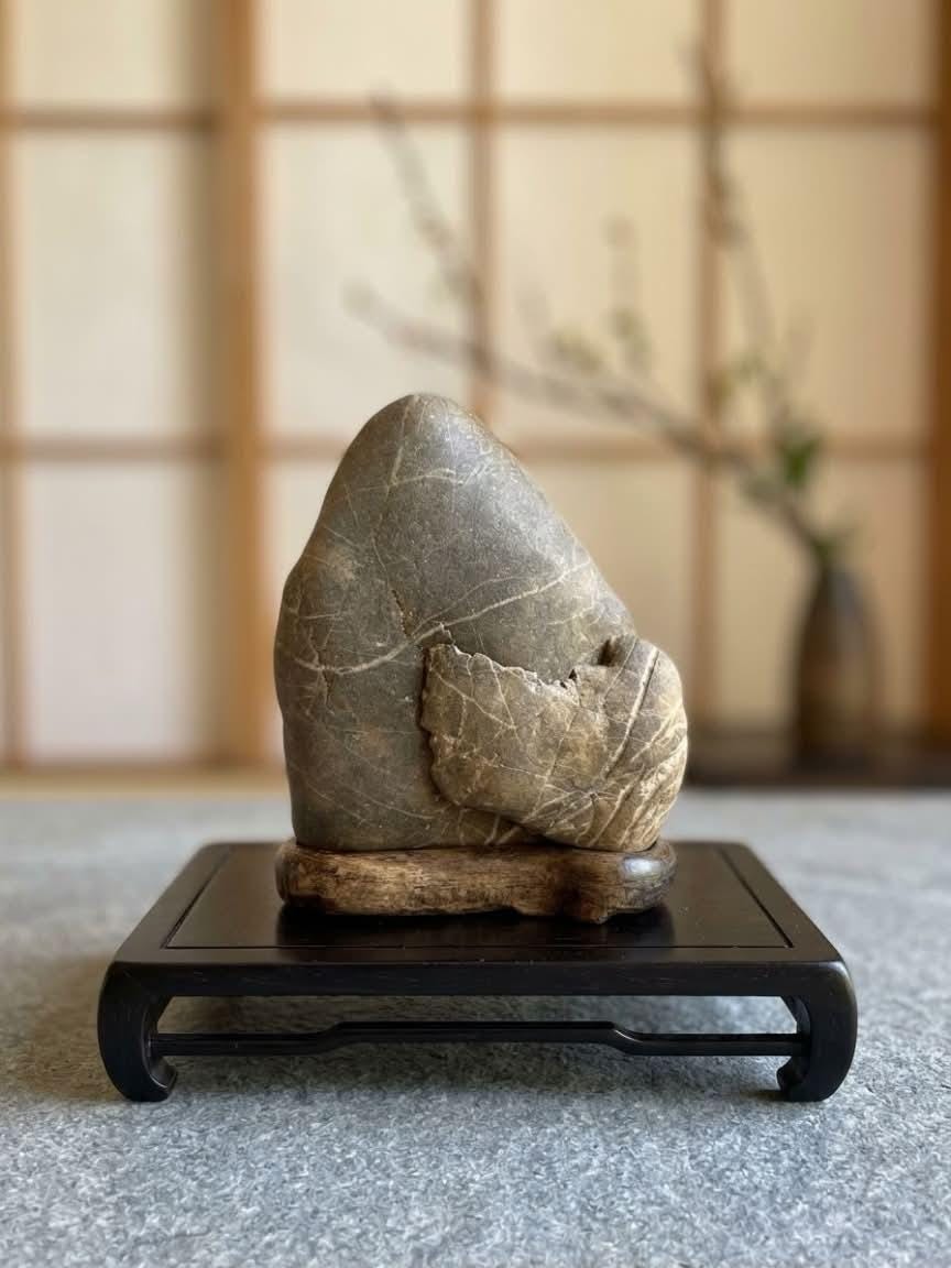 Suiseki Stone - Etsy