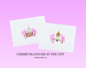 Cherry Blossom USNA/Annapolis/Maryland Notecards