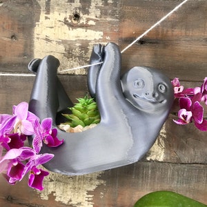 Maceta colgante con forma de perezoso: soporte para plantas de aire suculentas
