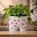 Dungeon Crawler Carl heart boxer plant pot, desk organizer!