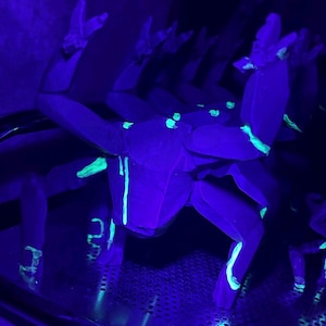 May include: Several dark blue crab sculptures under a black light, with bright green highlights. The sculptures' legs and bodies glow, creating a contrast against the dark background. The number "21" is visible on one of the legs.