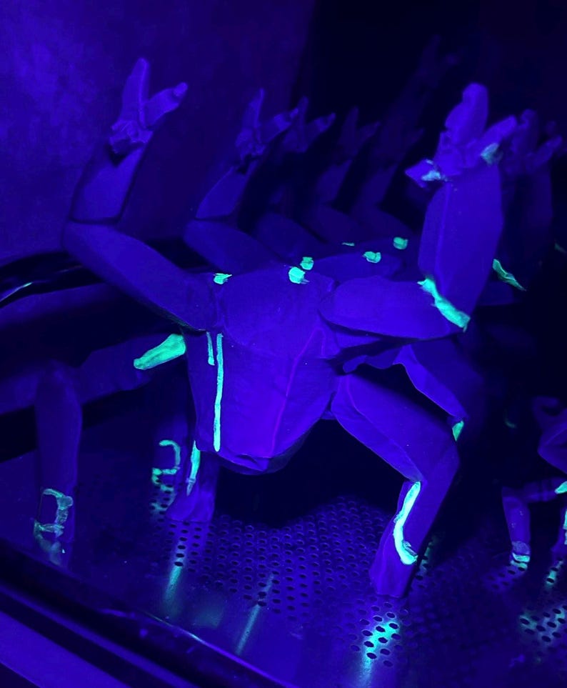 May include: Several dark blue crab sculptures under a black light, with bright green highlights. The sculptures' legs and bodies glow, creating a contrast against the dark background. The number "21" is visible on one of the legs.