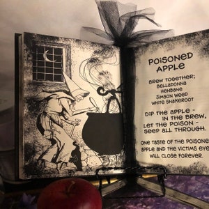 Poisoned Apple spell, snow white witch spell book Halloween party decor, Haunted House Prop, snow white party apple, reclaimed book, unique