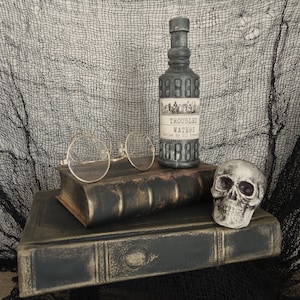 May include: A still life arrangement featuring a gray bottle labeled "Troubled Waters" with a vintage design, round eyeglasses, a skull, and antique books. The background is a black mesh fabric.