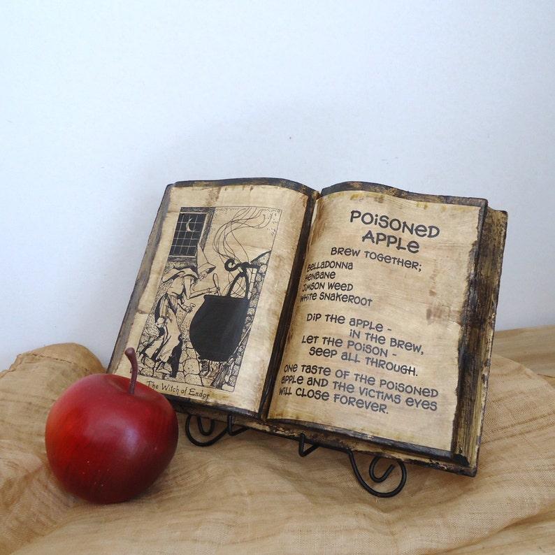 Poisoned Apple spell, snow white witch spell book Halloween party decor, Haunted House Prop, snow white party apple, reclaimed book, unique image 4