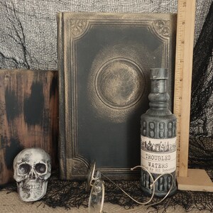 May include: A still life arrangement featuring a skull, antique book, and a bottle labeled "Troubled Waters." The book is black with gold accents. The bottle is gray with a label. A pair of round glasses rests in front of the bottle. A wooden ruler is in the background.
