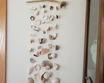 Stunning beach shells and driftwood, Peach colored beads, beach shells old and new, and sand kissed, wall hanging