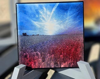 Sunlit Poppy Field Art, Laser-Etched Tile Coaster or Mini Canvas, Hand-Colorized Desk Decor