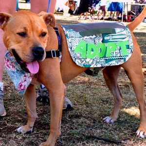 Adopt Me Dog Vest Pattern INSTRUCTIONS - Rescue Dog PDF Pattern - EZ to Make