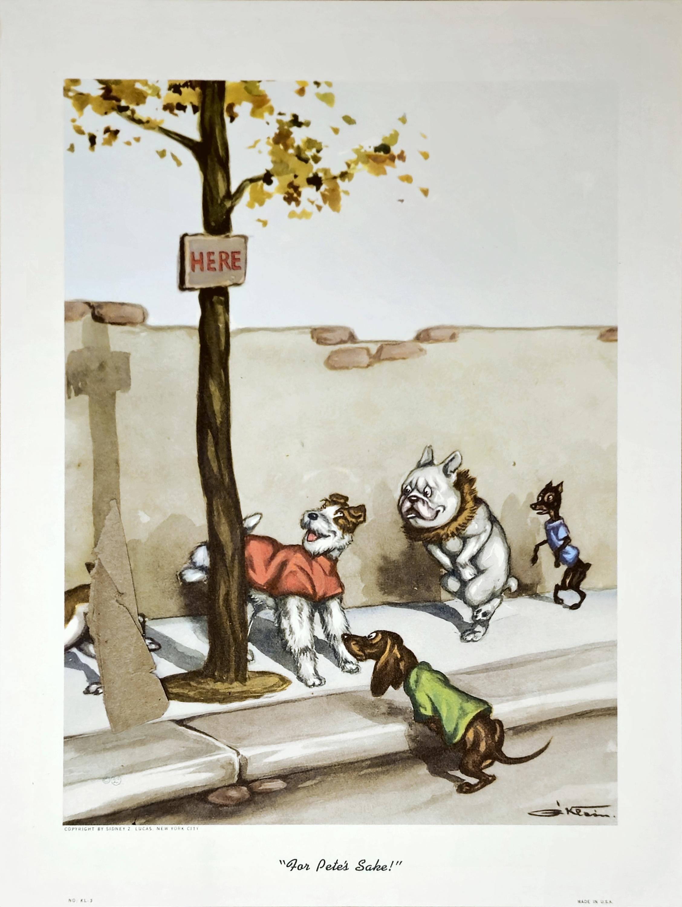 Boris o klein - Etsy 日本