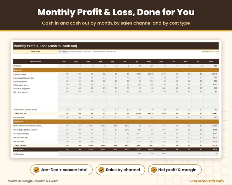 Monthly profit and loss overview tab showing automated January through December revenues, costs, and net margins.