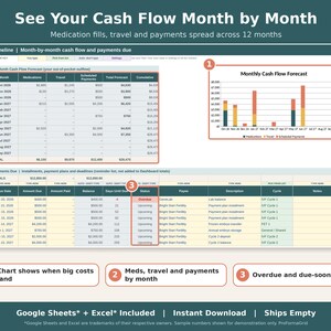 Healthcare cost planner timeline with 12-month cash flow forecast chart and payments due list.