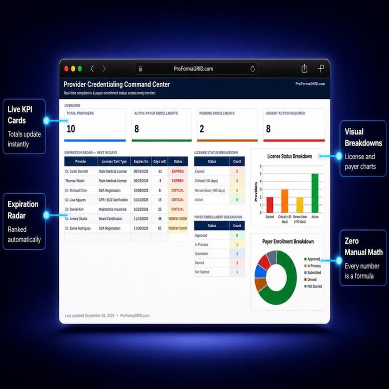 Executive dashboard tab in Google Sheets* and Excel* displaying live KPI cards, 90-day license expiration radar, bar chart, and payer donut chart.