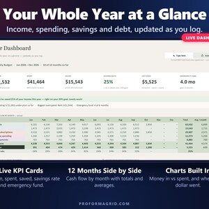 Year dashboard showing money in, spending, savings rate, emergency fund and 12 months of cash flow in the annual budget spreadsheet.