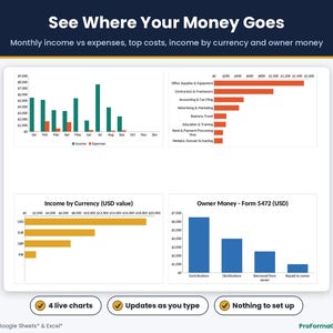 Four automatic charts: monthly income vs expenses, top expense categories, income by currency in USD and owner money for Form 5472