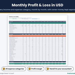 Monthly profit and loss statement in USD with income and expense categories and owner money memo for a non-resident US LLC
