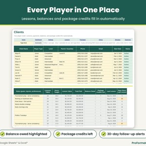 Client roster tab tracking active lessons, money owed, remaining prepaid package credits, and 30-day inactive student alerts.