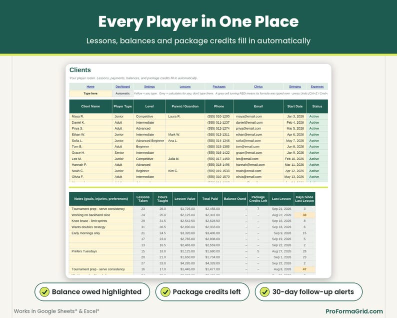 Client roster tab tracking active lessons, money owed, remaining prepaid package credits, and 30-day inactive student alerts.