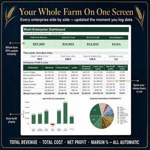 Multi-enterprise farm dashboard showing total revenue, total cost, net profit and margin percent for every homestead enterprise side by side with auto-built charts