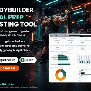 Bodybuilder meal prep costing tool spreadsheet for Google Sheets and Excel showing true cost per gram of protein, macro targets for bulk or cut and weekly grocery budget
