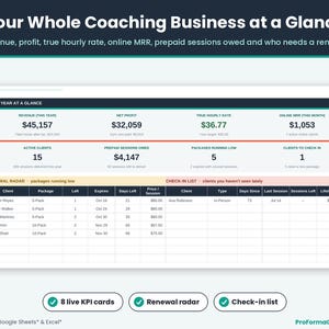 Dashboard tab with 8 key metric cards including net profit, true hourly rate, active clients, prepaid session value, a package renewal radar and a client check-in list.