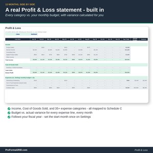 Profit and Loss tab showing 12 months plus a year total, broken out by income, cost of goods sold, gross profit, expenses, net profit and margin, with budget vs actual