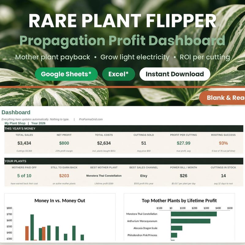 Rare Houseplant Profit Tracker preview