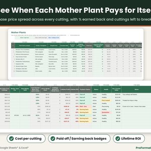 Rare houseplant inventory sheet tracking mother plant cost, cost per cutting, cuttings sold and lost, percent of cost earned back, cuttings to break even and payback badges.