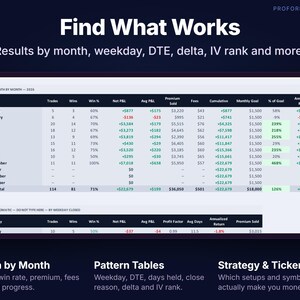 Month-by-month options trading performance table with trades, win rate, premium, fees, cumulative P&L and goals.