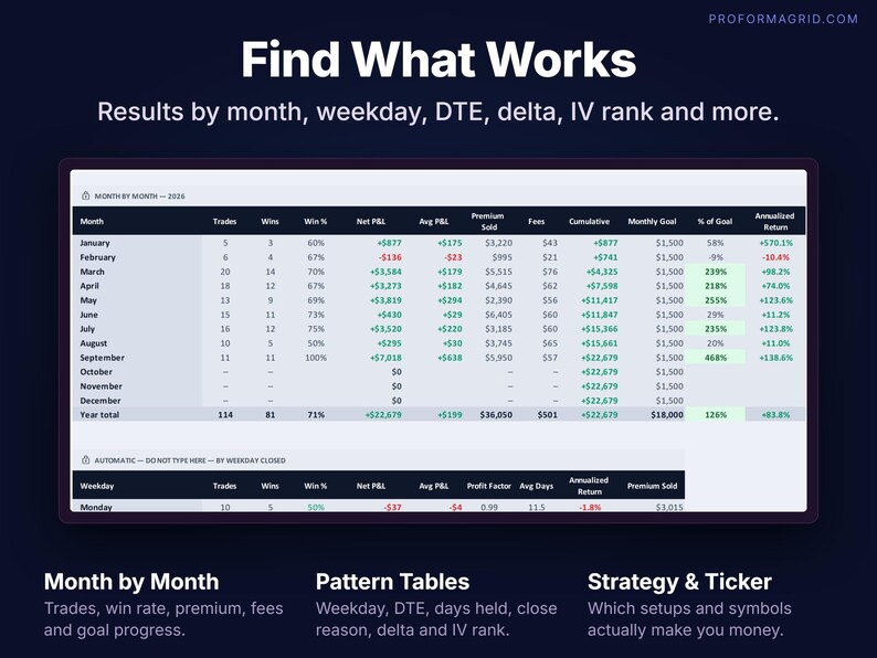 Month-by-month options trading performance table with trades, win rate, premium, fees, cumulative P&L and goals.