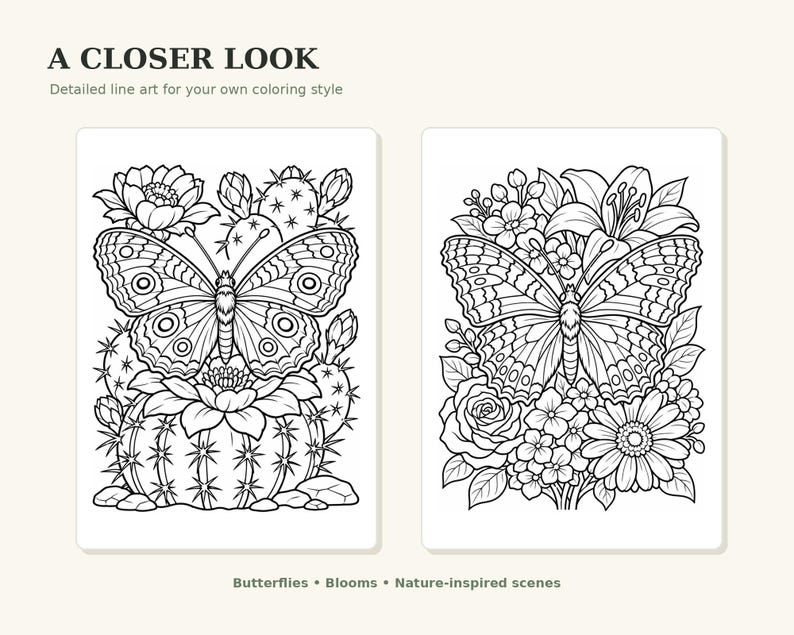 12 Butterfly Coloring Pages Printable PDF Set - Etsy