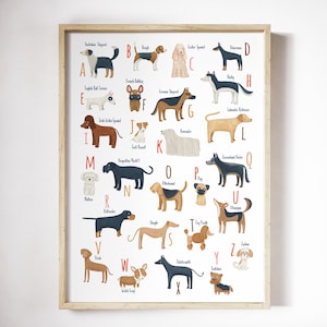 Dog breeds Alphabet for a Dog lover, Dog alphabet printable poster, ABC dog breeds, A to Z dogs alphabet, printable dog wall art, dog theme