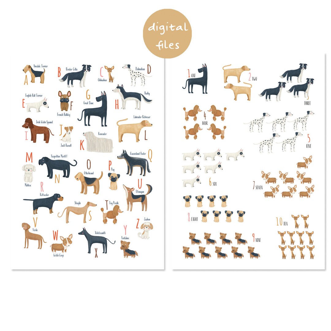 Printable Set ABC and Numbers Dog Breeds, Dalmatian, Border Collie, Dog ...