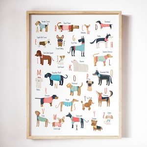 Dog breeds Alphabet for a Dog lover, Dog alphabet poster, ABC dogs breeds, A to Z dogs alphabet, dogs wall art, dogs theme, dogs art print