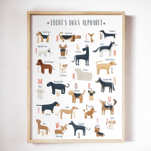 Alfabeto personalizzato stampabile per cani per gli amanti dei cani, poster personalizzato dell'alfabeto per cani, razze di cani ABC, alfabeto per cani dalla A alla Z, arte murale stampabile per cani