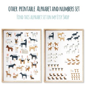 Pode incluir: Dois cartazes imprim&iacute;veis com ilustra&ccedil;&otilde;es de diferentes ra&ccedil;as de c&atilde;es. O primeiro cartaz mostra o alfabeto com cada letra emparelhada com uma ra&ccedil;a de c&atilde;o. O segundo cartaz mostra os n&uacute;meros de 1 a 10 com cada n&uacute;mero emparelhado com uma ra&ccedil;a de c&atilde;o.
